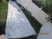 Sails for 26' boat