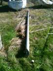  mast 30'
