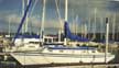 1981 Hunter 33 sailboat