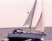 Hunter 33.5 sailboats
