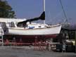1983 Island Packet 26 MKII sailboat