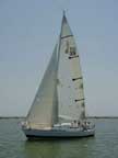 1981 J/30 sailboat
