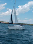 Hunter 260
