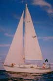 Hunter 30 Cherubini, 1976 sailboat