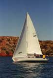 Schock Wavelength 24, 1986 sailboat
