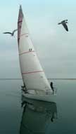 1982 Hobie 33 sailboat