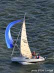 1977 Martin 241 sailboat