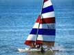 1980 Hobie 16 sailboat