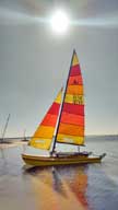 1975 Hobie 16 sailboat