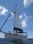 1989 Island Packet 27 sailboat