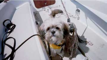 1988 Capri 14.2 sailboat